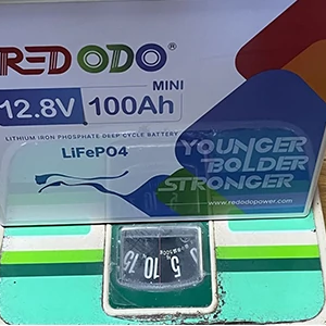 12V 100Ah Mini