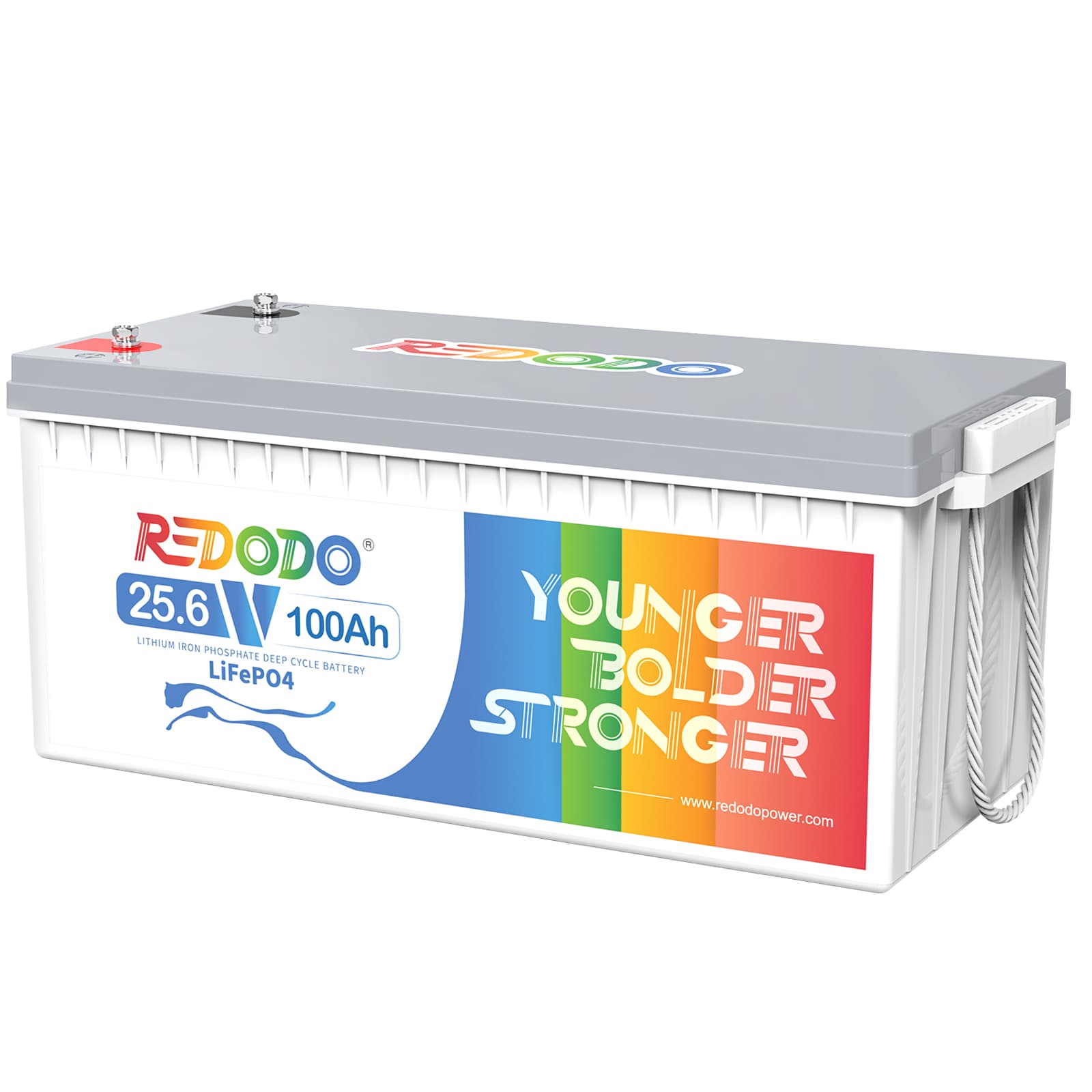 【80179円限定】Redodo 24V 100Ahリン酸鉄リチウムオンバッテリー（PSE認証済み）