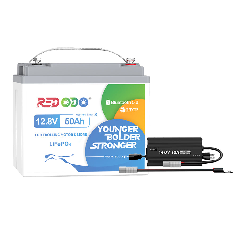 2個セット 12V 50Ah 12.8V リン酸鉄リチウムイオンバッテリーRedodo