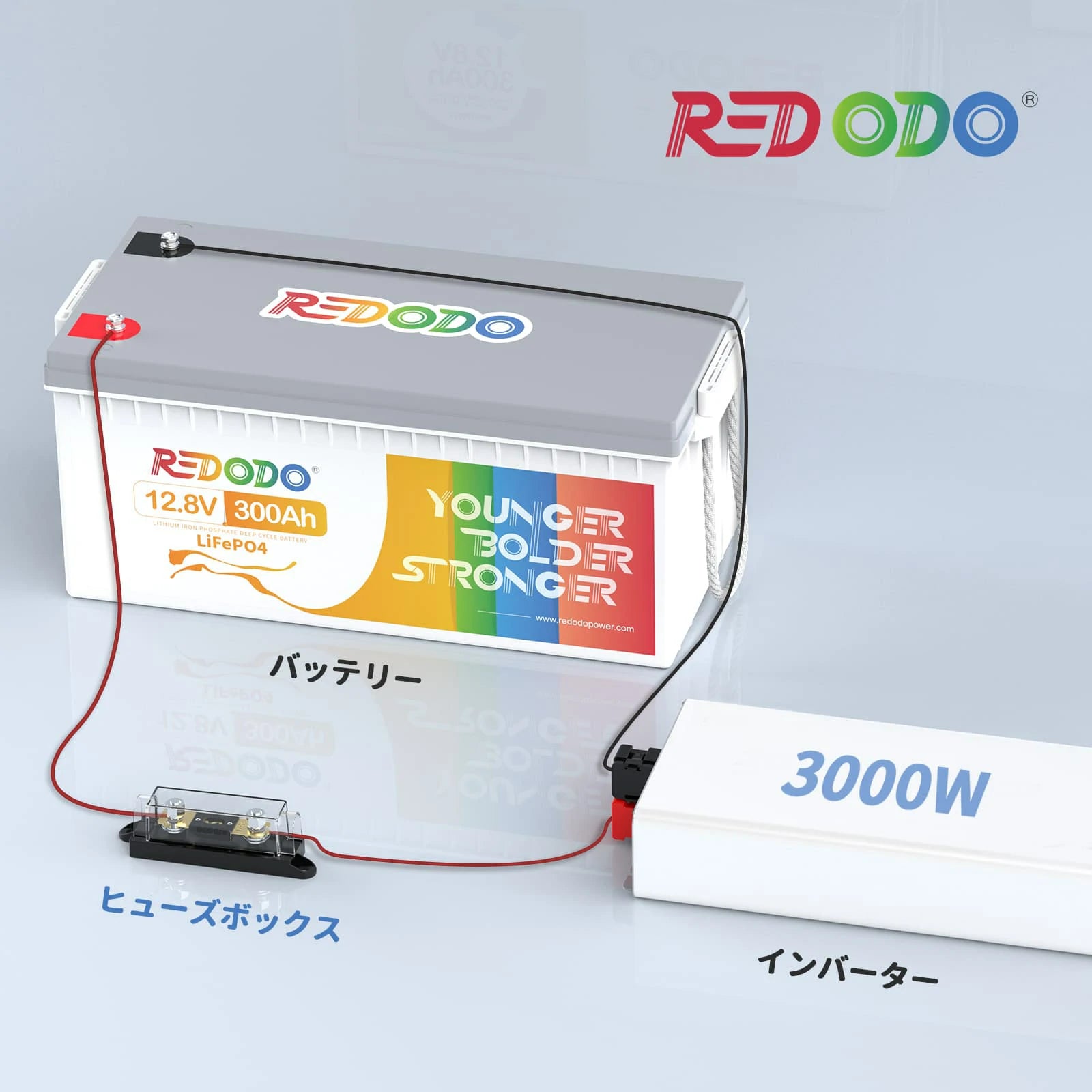 REDODO ANLヒューズホルダー（40～400A）ANL 250Aヒューズ付き