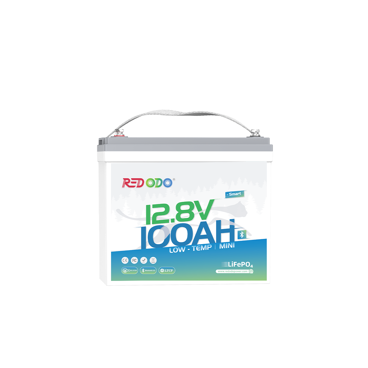 Redodo 12V 100Ah LiFePO4 Lithium Iron Phosphate Battery Built-in 100A BMS