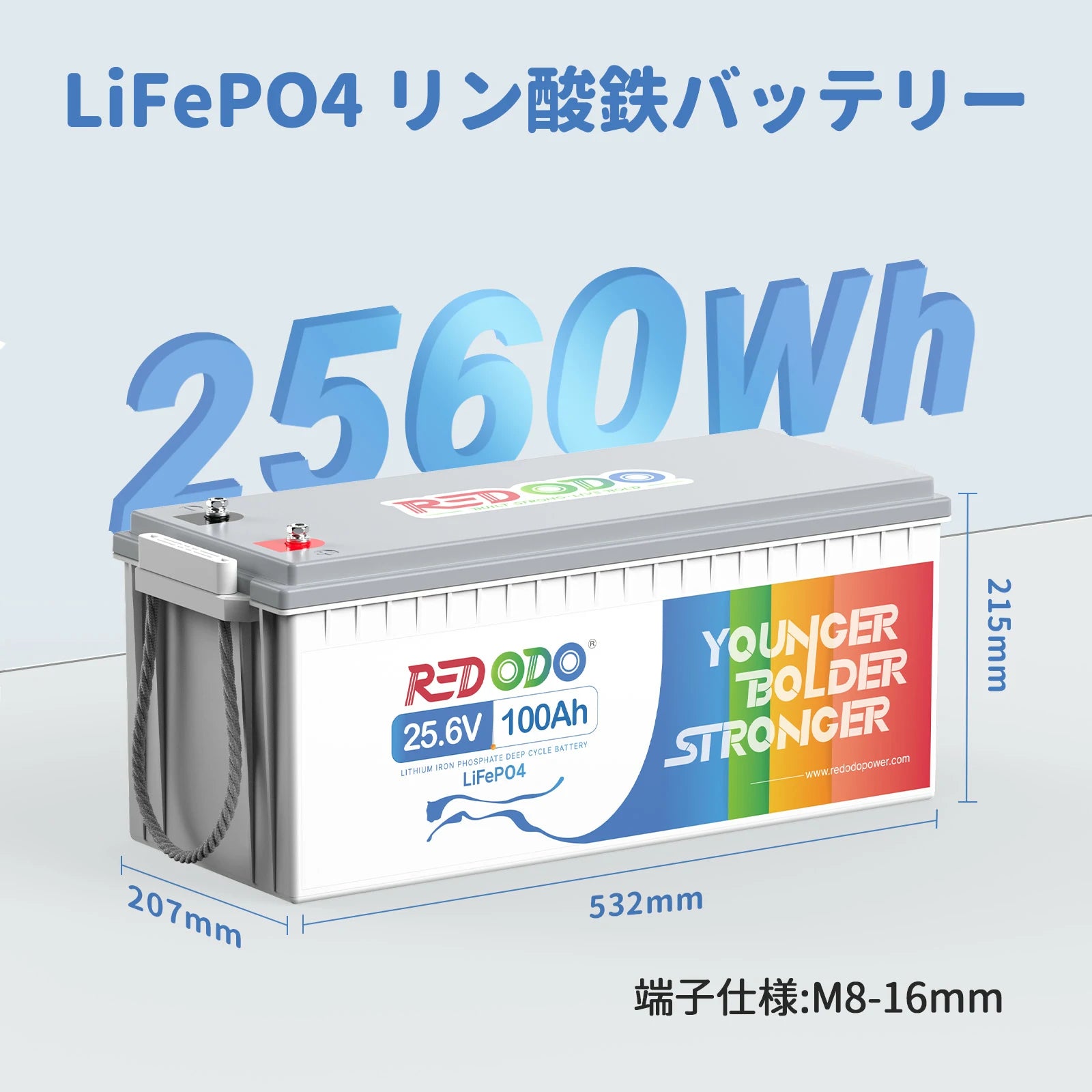 Redodo 24V 100Ahリン酸鉄リチウムオンバッテリー 大容量の家庭用電源